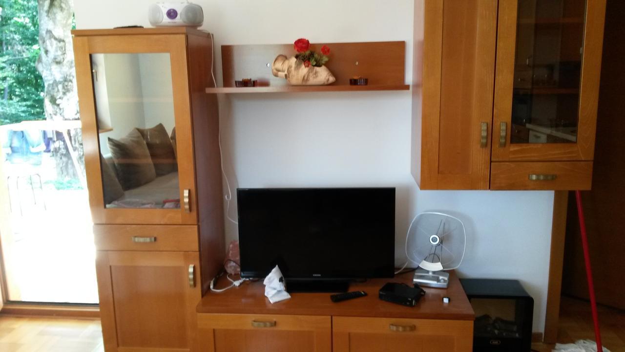 Apartment Joksimovic Zlatibor Bagian luar foto