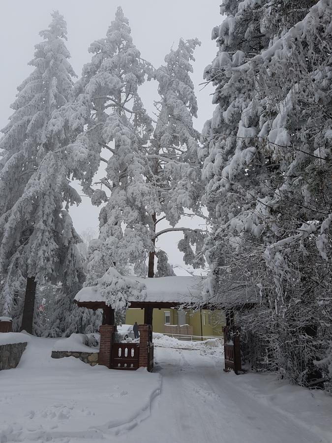 Apartment Joksimovic Zlatibor Bagian luar foto